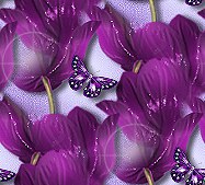 Фиолетовые бабочки на фиолетовых цветах