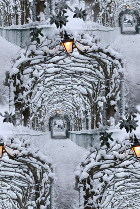 Зимние бесшовные фоны. Заснеженная арка