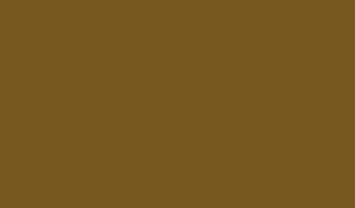 Hazelnut Brown - very dark