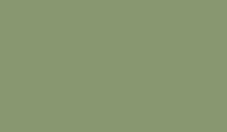 Green Grey - medium