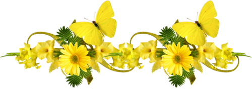 Красивые желтые цветы и бабочки. Украшение текста. Раздел...