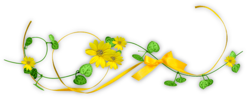 Желтые цветы с зеленью и ленточкой для оформления текста....