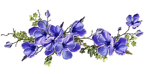 Красивые синие цветы. Украшение текста. Разделитель