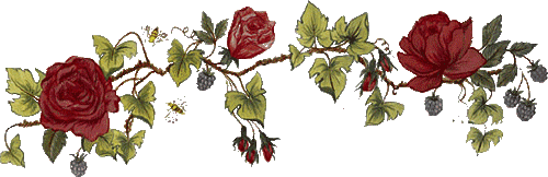 Розы и ягоды для украшения текста