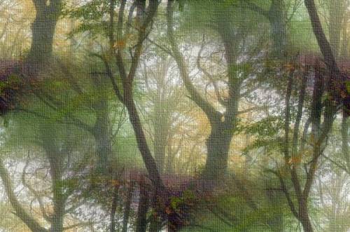 Загадочный осенний лес