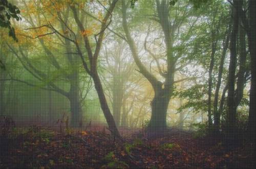Сказочный лес осенью
