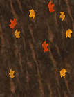 Падают осенние листья. Фон коричневый