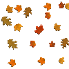 Стремительно падают осенние листья