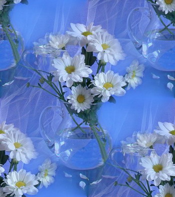 Ромашки в прозрачной вазе на голубом
