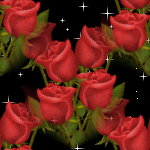 Красные розы на звездно черном