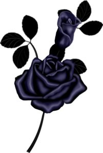 Темные синие розы
