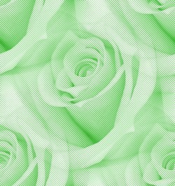 Большие розы зеленые