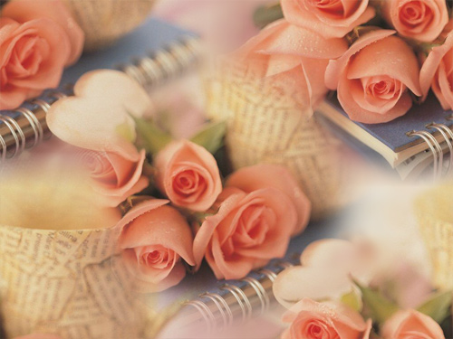 На записной книжке лежат красивые розовые розы