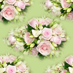 Розы розовые на зеленоватом фоне