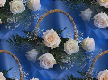 Белые розы с зеленью на голубом в корзине