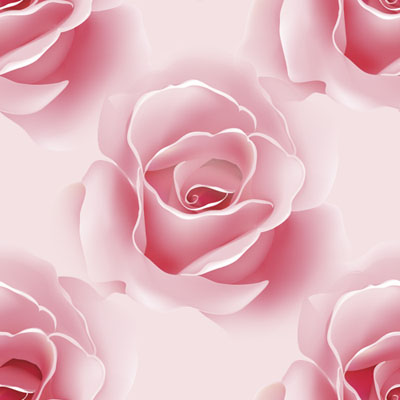 Роза на розовом фоне
