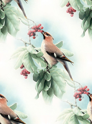Птица на дереве с ягодами