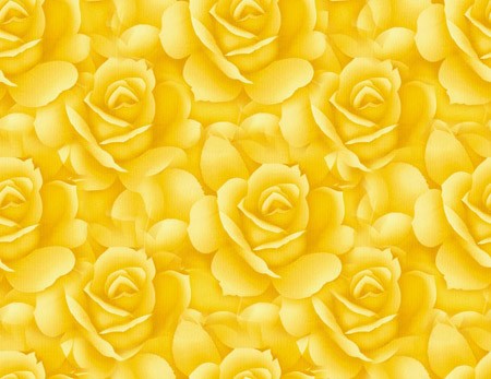 Красивые желтые розы