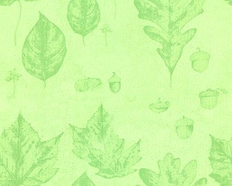 Зеленые листочки на нежно-зеленом