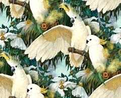 Белые попугаи