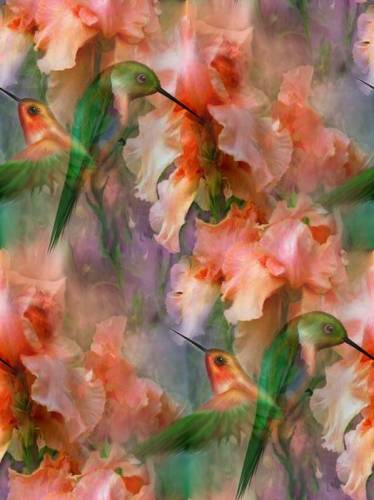 Цветочный рай для птиц