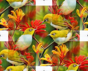 Желтые птицы у красных цветов