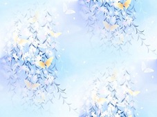 Ветки с белыми цветами и бабочкой на голубом