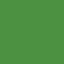 Майский зеленый однотонный