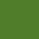 Кленовый зеленый однотонный