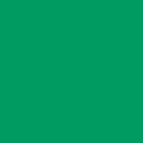 Зеленый трилистник однотонный