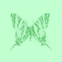 Зеленая бабочка на зеленом