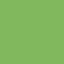 Бледно-зеленый однотонный