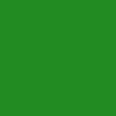 Лесной зеленый однотонный