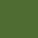 Зеленый попугаевый, очень темный однотонный