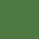 Зеленый папоротник однотонный