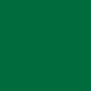 Насыщенный зеленый однотонный