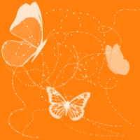 Бабочки на оранжевом