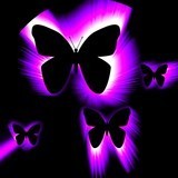 Бабочки в фиолетовом свечении на черном