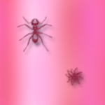 Муравей и паук на розовом