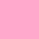 Розовая гвоздика однотонный