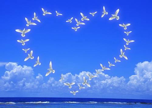 Сердечко из птиц в небе