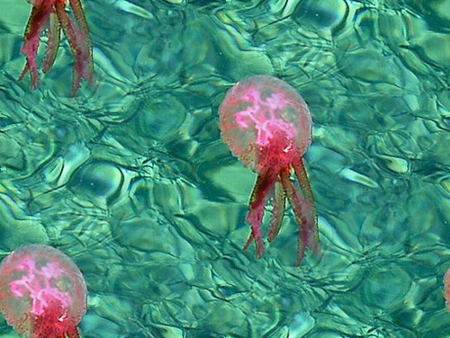 Розовые медузы на зеленом