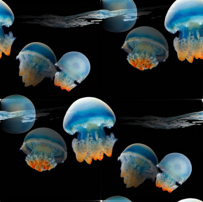 Желто-голубые медузы