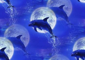 Дельфин на фоне луны