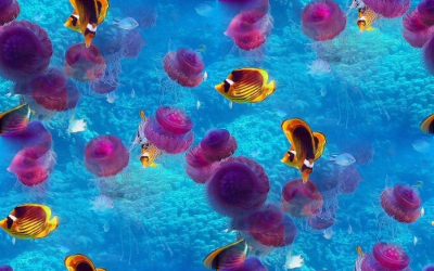 Фиолетовые медузы