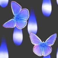 Синие бабочки на темном