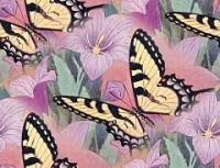 Бабочки на колокольчиках