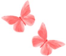Бабочки розовые на белом