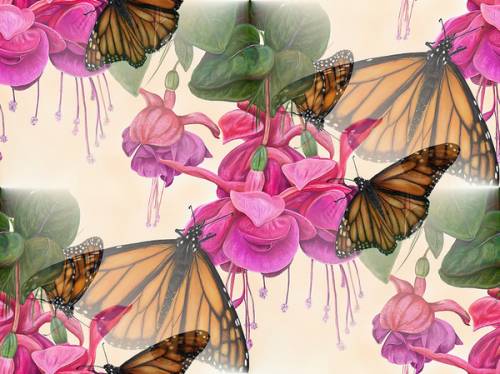 Бабочки на ярких, красивых цветах