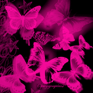 Яркие розовые бабочки на черном
